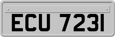 ECU7231