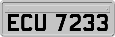 ECU7233