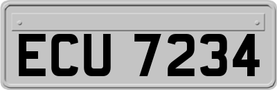 ECU7234