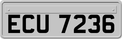 ECU7236