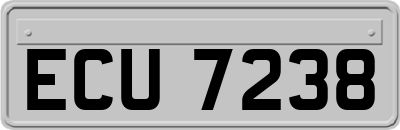 ECU7238