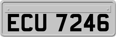ECU7246