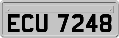 ECU7248