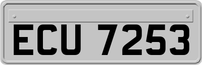 ECU7253