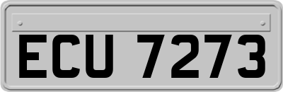 ECU7273