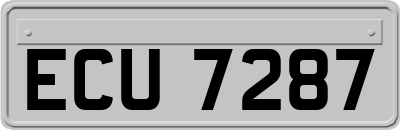 ECU7287