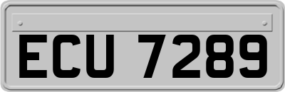 ECU7289