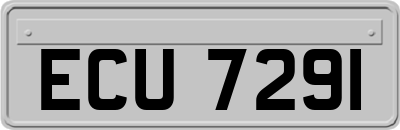 ECU7291