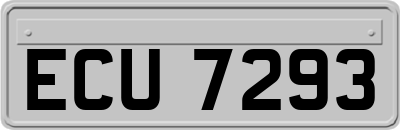 ECU7293