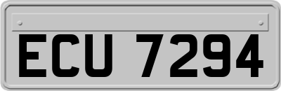 ECU7294