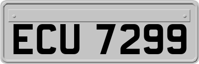 ECU7299
