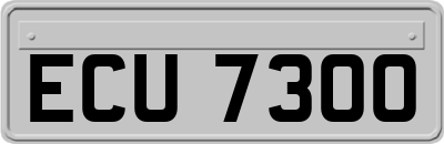 ECU7300