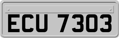 ECU7303