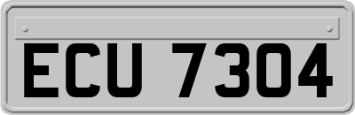 ECU7304