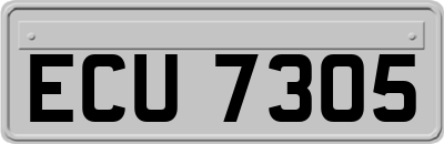 ECU7305