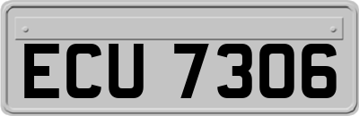ECU7306