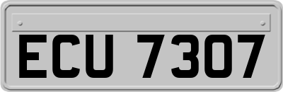 ECU7307
