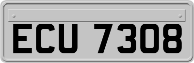 ECU7308