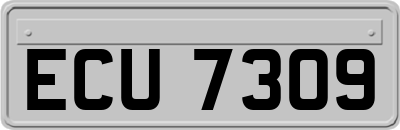 ECU7309