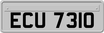 ECU7310