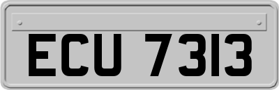ECU7313