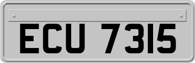 ECU7315