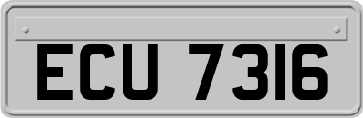 ECU7316