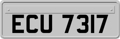 ECU7317