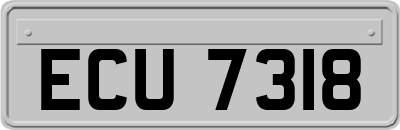 ECU7318