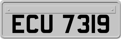 ECU7319