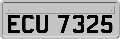 ECU7325