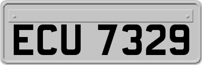 ECU7329