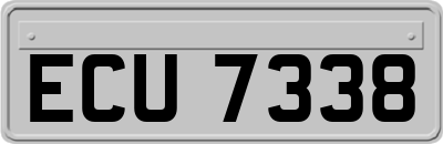 ECU7338