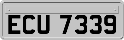 ECU7339