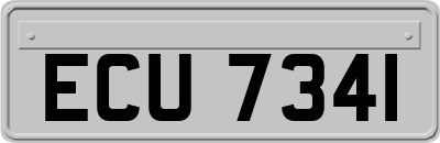 ECU7341