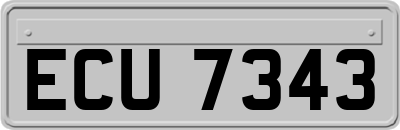 ECU7343