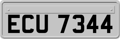ECU7344