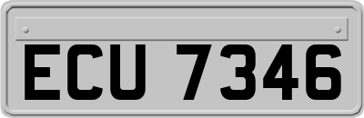 ECU7346