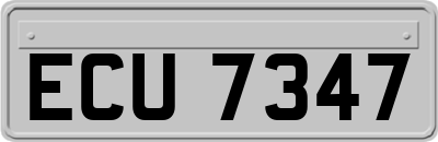 ECU7347