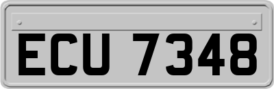 ECU7348