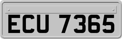 ECU7365