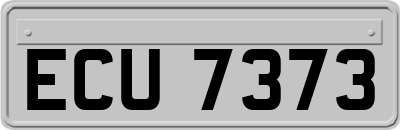 ECU7373
