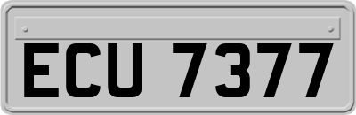 ECU7377