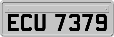 ECU7379