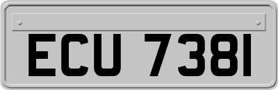 ECU7381