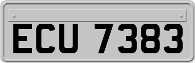 ECU7383