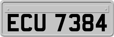 ECU7384