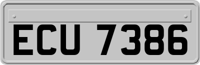 ECU7386