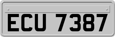 ECU7387