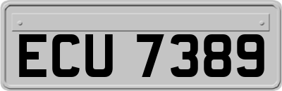 ECU7389